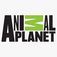 Animal Planet